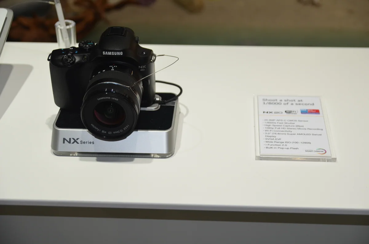 NX20