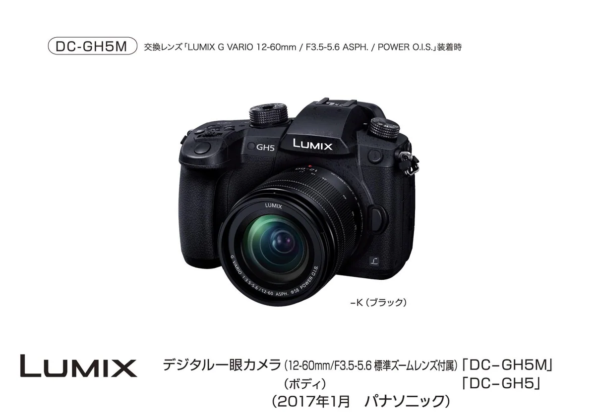 Lumix DC-GH5
